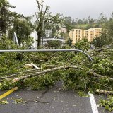 L'armée sera engagée dès mercredi à La Chaux-de-Fonds pour des opérations de sécurisation après le passage de la tempête il y a une semaine.